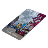 ショップ通りインGalway,アイルランド マグネット (左側)