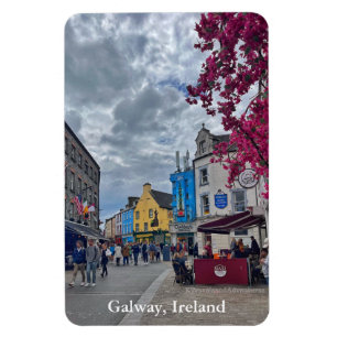 ショップ通りインGalway，アイルランド マグネット