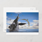 ショニサウルス恐竜攻撃 ポストカード (正面/裏面)