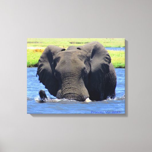 ショベの象 キャンバスプリント (正面)