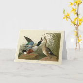 ショベラー・ダック – Audubon's Birds of America カード (黄色い花)