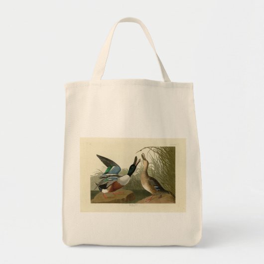 ショベラー・ダック – Audubon's Birds of America トートバッグ (正面)