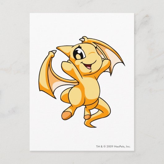 ショユル黄色 ポストカード (正面)