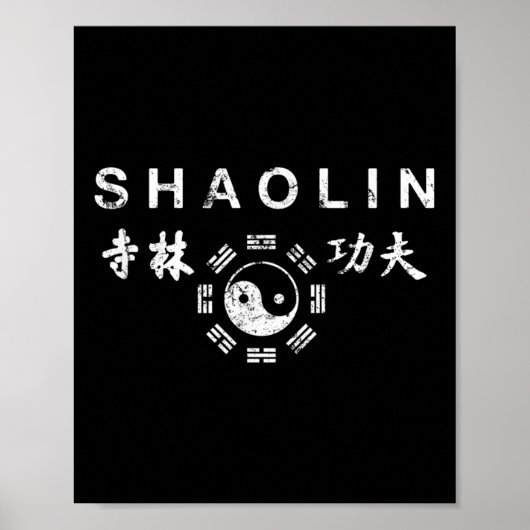 ショリンクンフー中国の武術アーツ ポスター (正面)