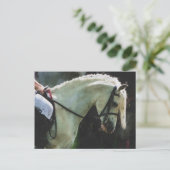 ショーでポニーをする ポストカード (スタンド正面)