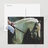 ショーでポニーをする ポストカード (正面/裏面)