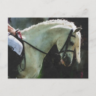 ショーでポニーをする ポストカード