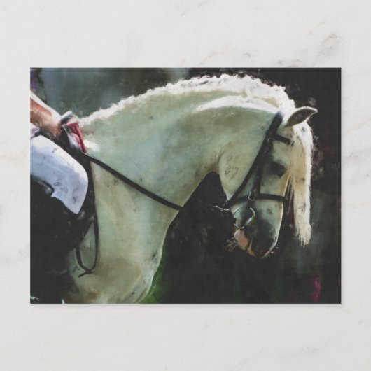 ショーでポニーをする ポストカード (正面)