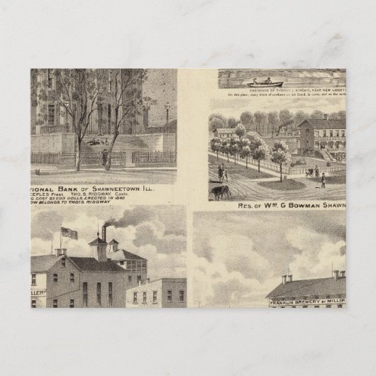 ショーウィータウンの銀行、住宅、醸造所 ポストカード (正面)