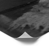 ショーガールズ – P0000497.JPG ポスター (角)