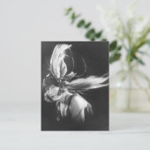 ショーガールズ – P0000511.JPG ポストカード (スタンド正面)