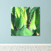 ショーズ・アガベ キャンバスプリント (インサイチュ (ウッドフロア))