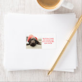 ショータイドポインターホリデイ住所 シール (インサイチュ)