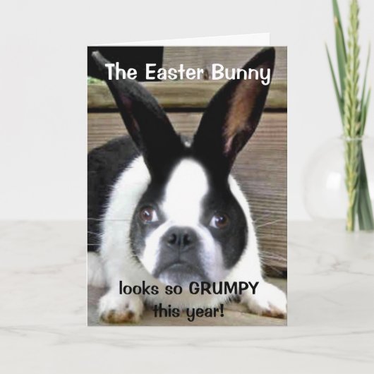 ショーティの2011イースターカード シーズンカード (正面)