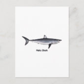ショートフィンマコシャークイラストレーション ポストカード (正面)