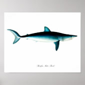 ショートフィンマコシャークポスターアートプリント第4号 ポスター (正面)