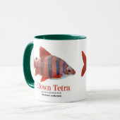 ショート・ノーズ・クラウン・テトラ マグカップ (正面左)