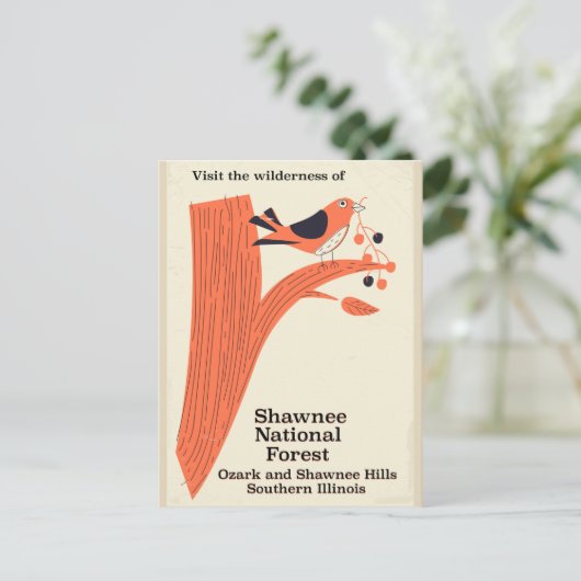 ショーニー国立森林イリノイのビンテージのポスター ポストカード (スタンド正面)