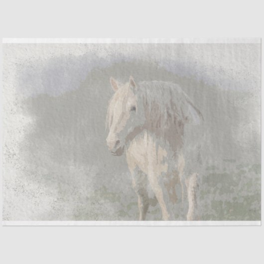 ショーニー・マーレ 薄葉紙 (正面)