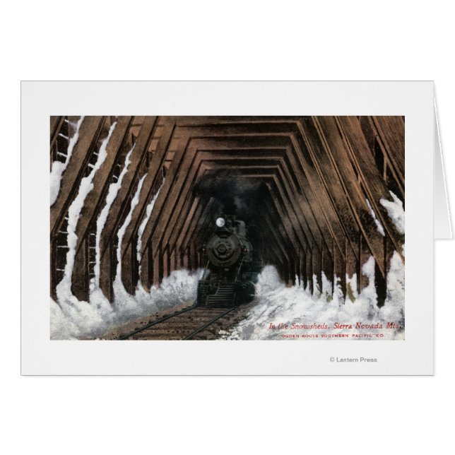 ショーヘッド鉄道 (正面横)