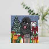 ショーホリックなニューファンドランドの子犬 シーズンカード (スタンド正面)