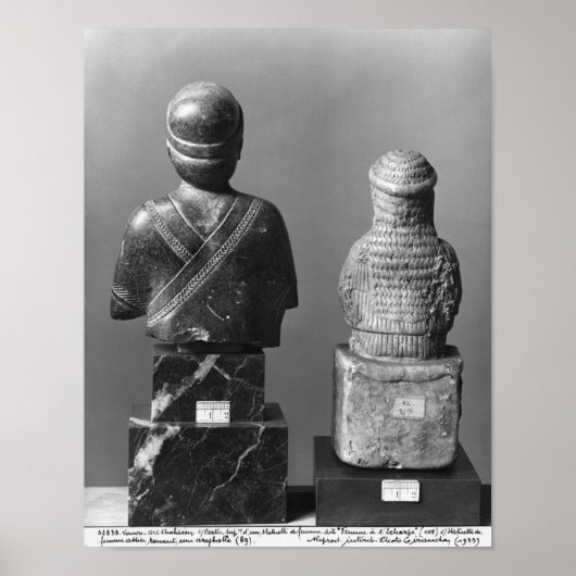 ショールを持つ女性 ポスター (正面)