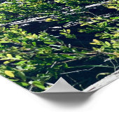 ショールベイポートスティーブンスNSW ポスター (角)