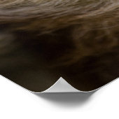 ショーン・グレッサー・スロース ポスター (角)