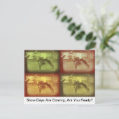 ショー デイズ ポストカード (スタンド正面)