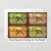 ショー デイズ ポストカード (正面/裏面)