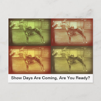 ショー デイズ ポストカード