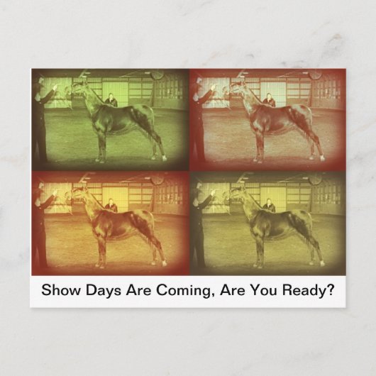 ショー デイズ ポストカード (正面)