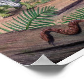 シラコサウルスプリント ポスター (角)