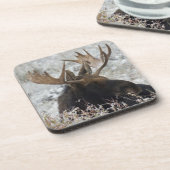 シラスブルムース コースター (左側)