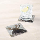 シラスブルムース スクエアペーパーコースター (インサイチュ)