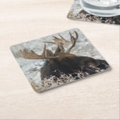 シラスブルムース スクエアペーパーコースター (アングル)