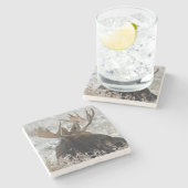 シラスブルムース ストーンコースター (横)