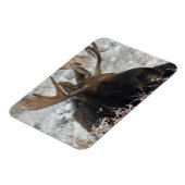 シラスブルムース マグネット (左側)