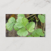 シラントロ 名刺 (裏面)