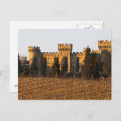 シラーつる植物とシャトーのあるブドウ園 ポストカード (正面/裏面)