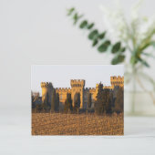 シラーつる植物とシャトーのあるブドウ園 ポストカード (スタンド正面)