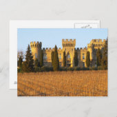 シラーつる植物とシャトーのあるブドウ園 ポストカード (正面/裏面)