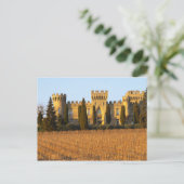 シラーつる植物とシャトーのあるブドウ園 ポストカード (スタンド正面)