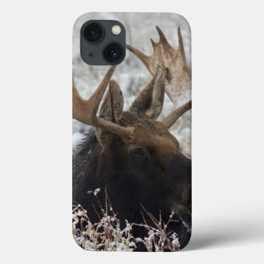 シラーズ・ブルームース Case-Mate iPhoneケース (裏面)