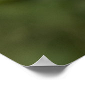 シラーリアナ ポスター (角)