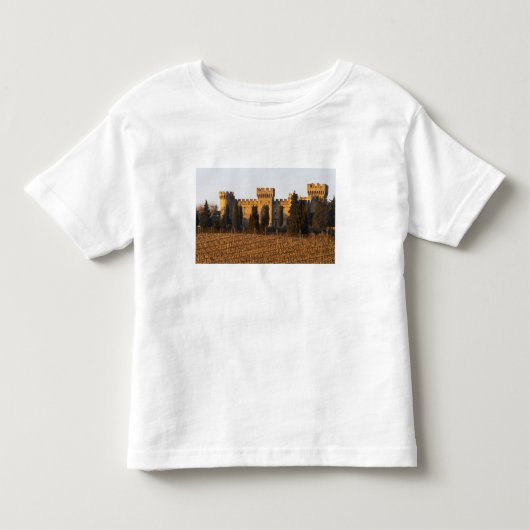 シラー種のぶどう畑とシャトー トドラーTシャツ (正面)