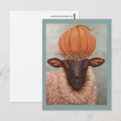 シラ葉書 ポストカード (正面/裏面)