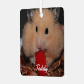 シリアのペットのハムスター – 標準ハムスター – クリーム メタルオーナメント (正面左)