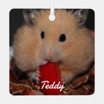 シリアのペットのハムスター – 標準ハムスター – クリーム