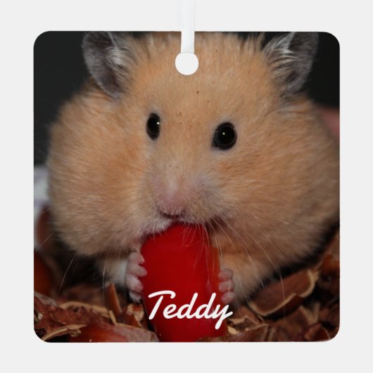 シリアのペットのハムスター – 標準ハムスター – クリーム メタルオーナメント (裏面)